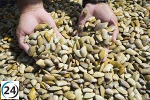 Mariscadores y Junta acuerdan cierre de Costa de Huelva por falta de recursos