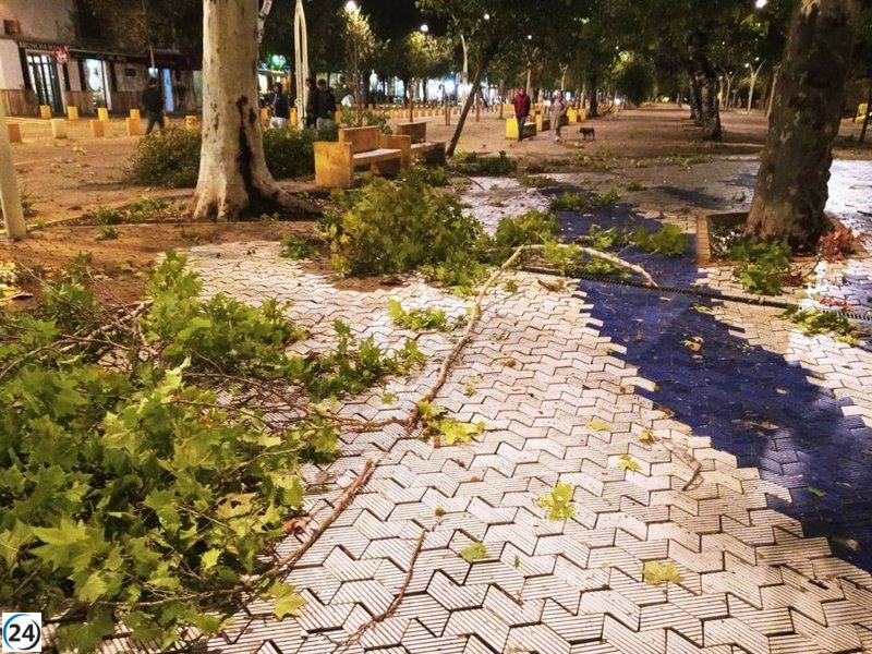 Los violentos vientos causan más de 300 incidentes en Sevilla