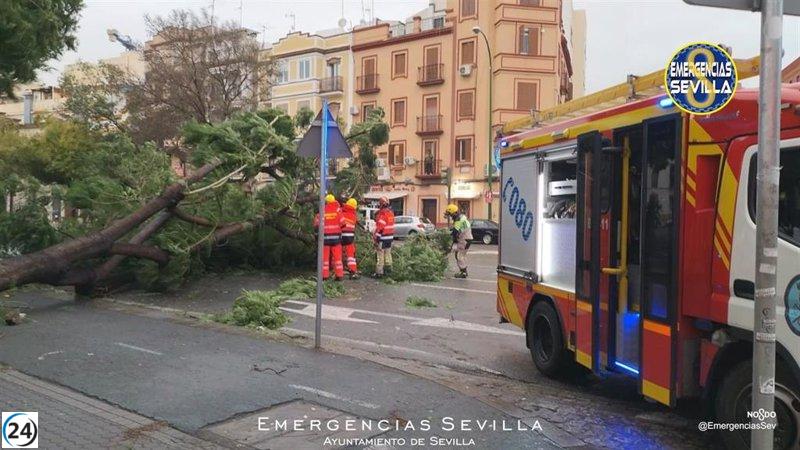 Innumerables daños y peligros provocados por ráfagas de viento en Cádiz, Huelva y Sevilla
