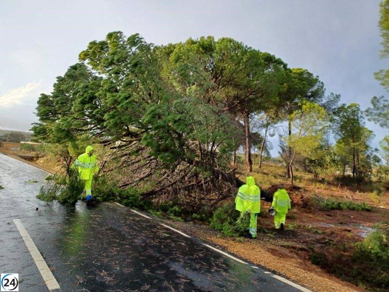 Tormenta causa estragos en Punta, Huelva: techos derribados, árboles caídos, rescates y daños en carabelas.