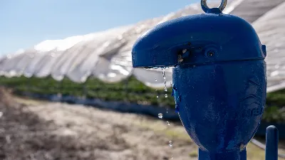 La polémica en torno al uso del agua en Doñana sigue en el centro del debate político andaluz