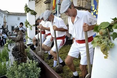 La vendimia en Jerez de la Frontera: Una fiesta de sabor y alegría