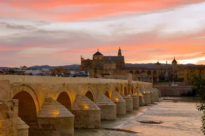 La Fiesta de los Patios de Priego de Córdoba