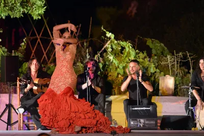 Flamenco: el corazón de la cultura andaluza