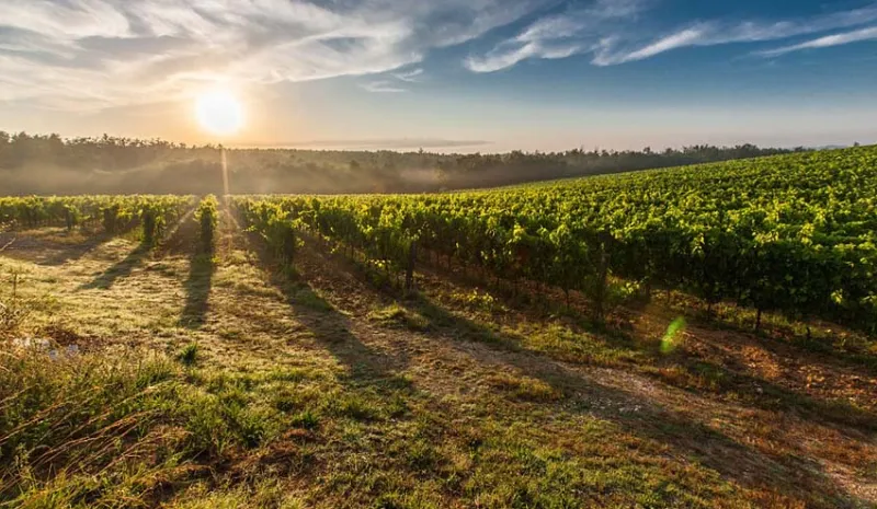 El Parlamento andaluz aprueba la Ley de Cambio Climático y Transición Energética