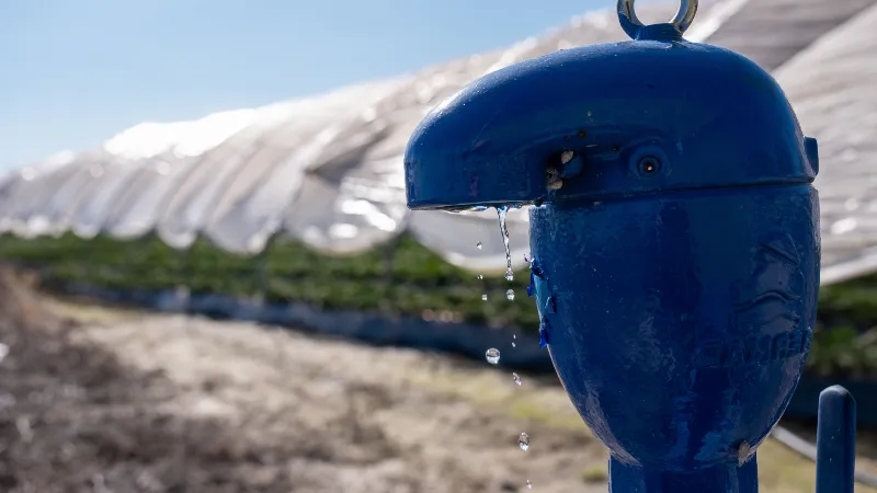 La polémica en torno al uso del agua en Doñana sigue en el centro del debate político andaluz