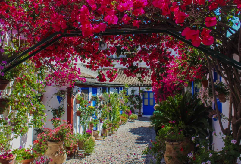 Fiestas de la primavera en Andalucía: la fiesta de los patios de Córdoba