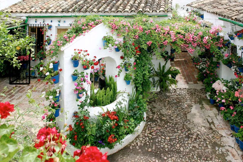 Los Patios de Córdoba: Un espectáculo de color y fragancia