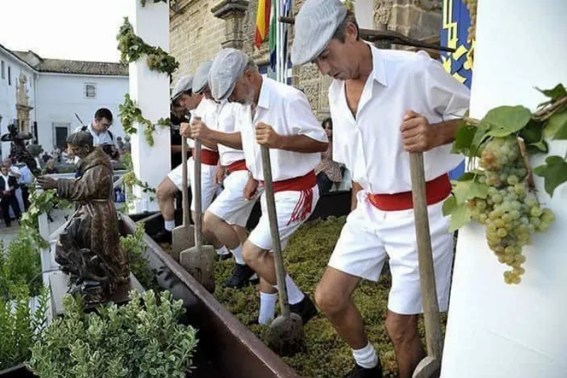 La vendimia en Jerez de la Frontera: Una fiesta de sabor y alegría
