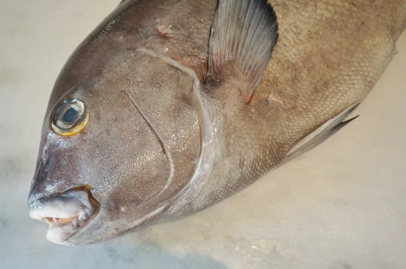 Los mejores pescados para probar en Andalucía