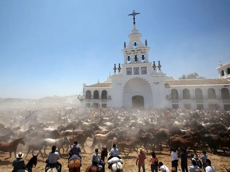 La importancia de la conservación de Doñana