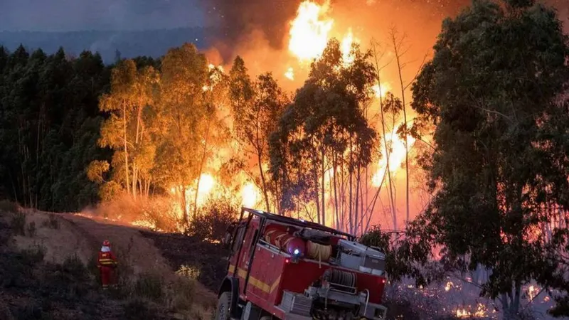 La prevención de incendios forestales en Huelva