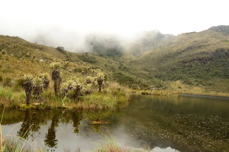 Los parques naturales de la región