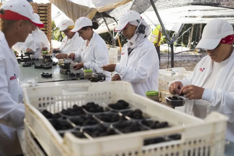 Andalucía lidera la creación de empleo en España